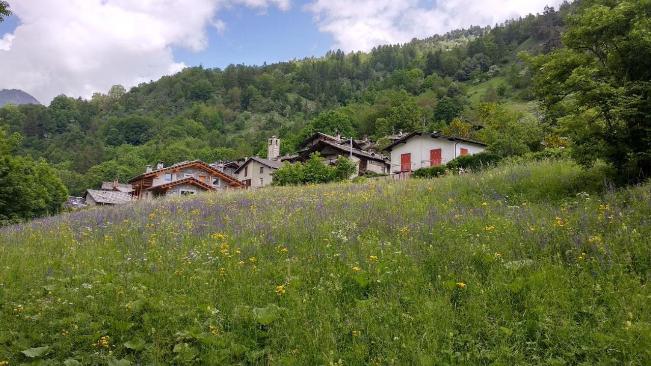 Delfin Dal Pianhol Hotel Casteldelfino Bagian luar foto